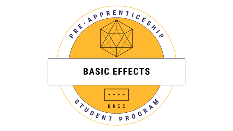 Pre-Apprenticeship Basic Effects